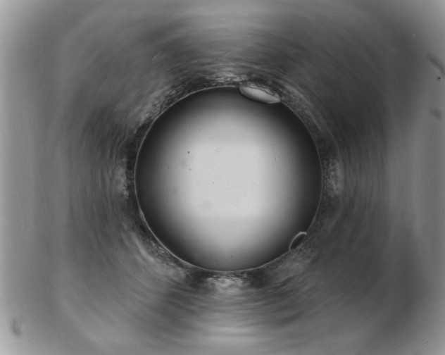 X0000103240512200808281444