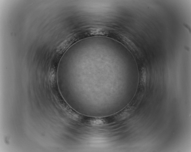 X0000103240513200808281444
