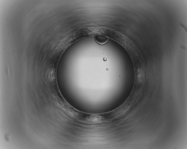 X0000103240514200808281444