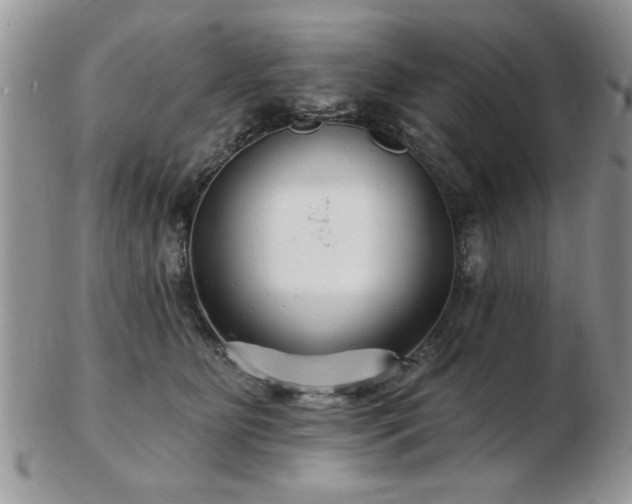 X0000103240515200808281444