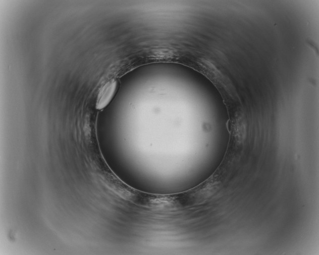 X0000103240516200808281444