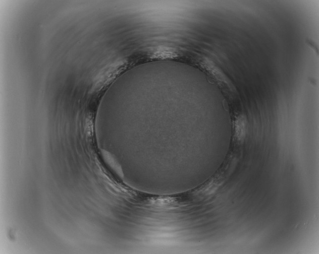 X0000103240517200808281444