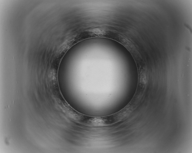 X0000103240518200808281444