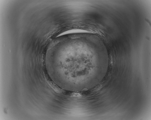 X0000103240519200808281444