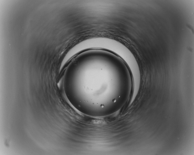 X0000103240520200808281444
