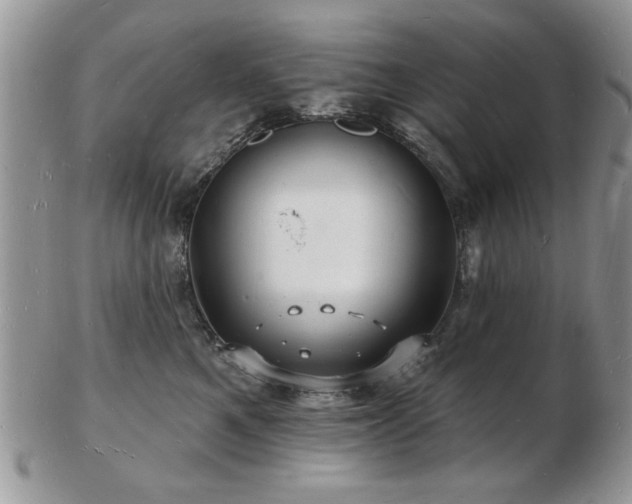 X0000103240521200808281444