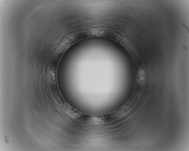 X0000103240522200808281444