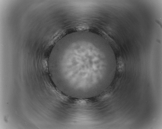 X0000103240523200808281444