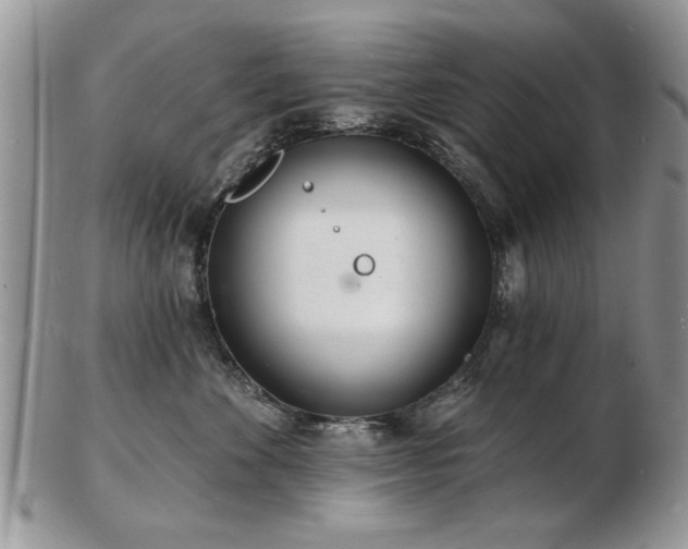 X0000103240524200808281444