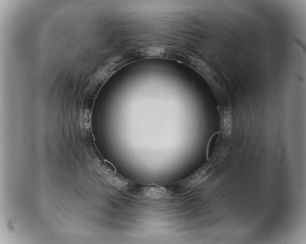 X0000103240525200808281444