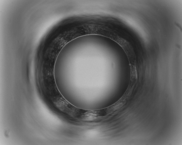 X0000103240526200808281444