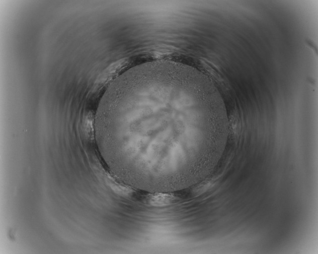 X0000103240527200808281444