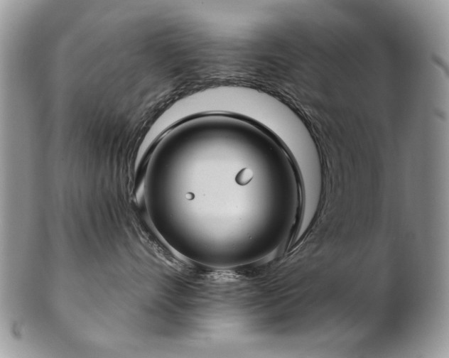 X0000103240528200808281444