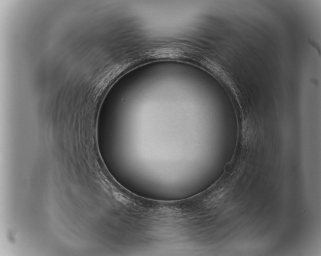 X0000103240529200808281443
