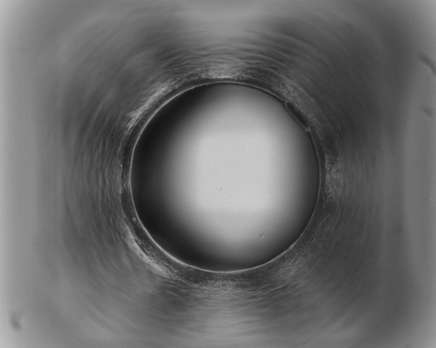 X0000103240530200808281443