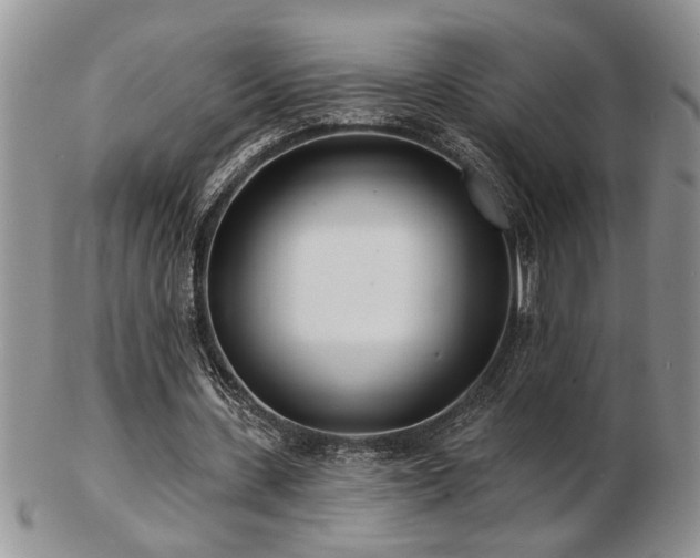 X0000103240531200808281443