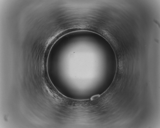 X0000103240532200808281443