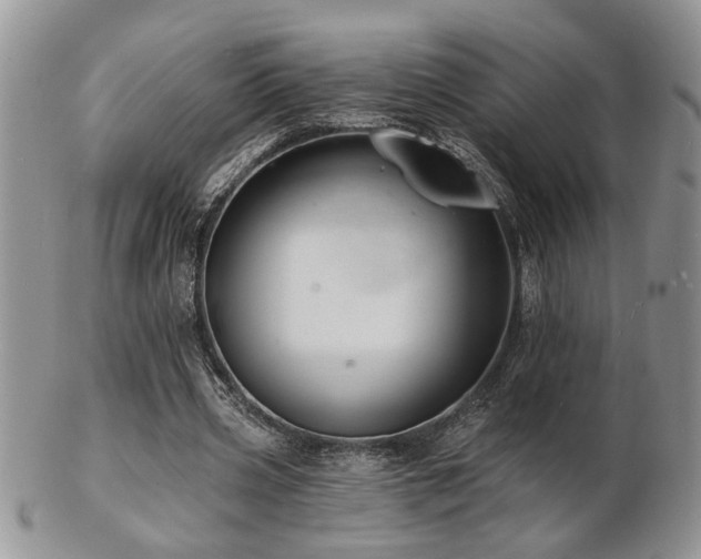 X0000103240533200808281443