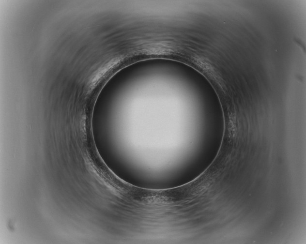 X0000103240535200808281443