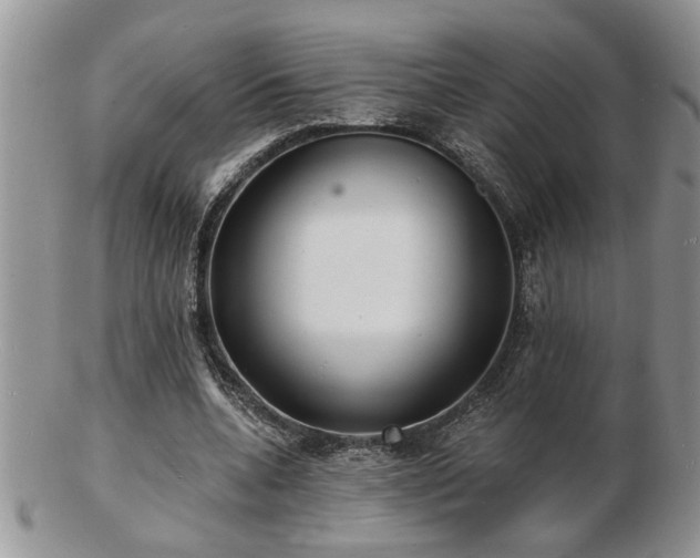 X0000103240536200808281443