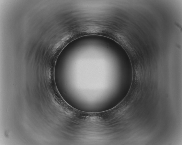 X0000103240539200808281443