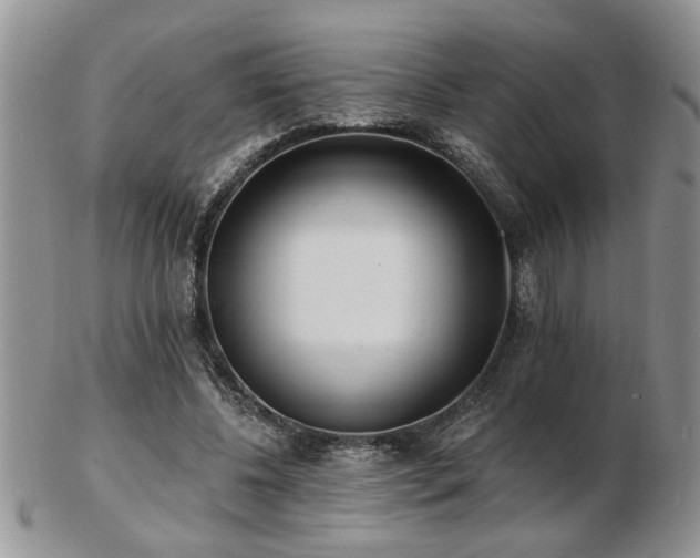 X0000103240540200808281443