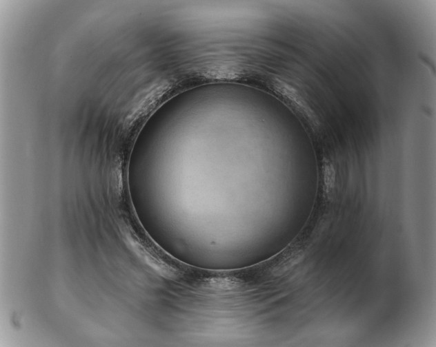 X0000103240541200808281443