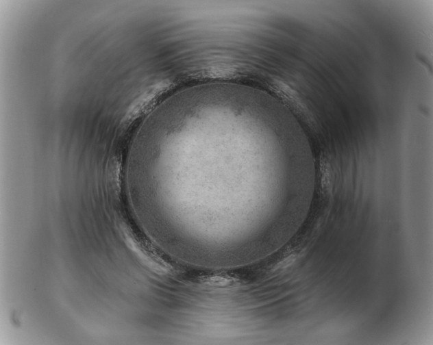 X0000103240542200808281443