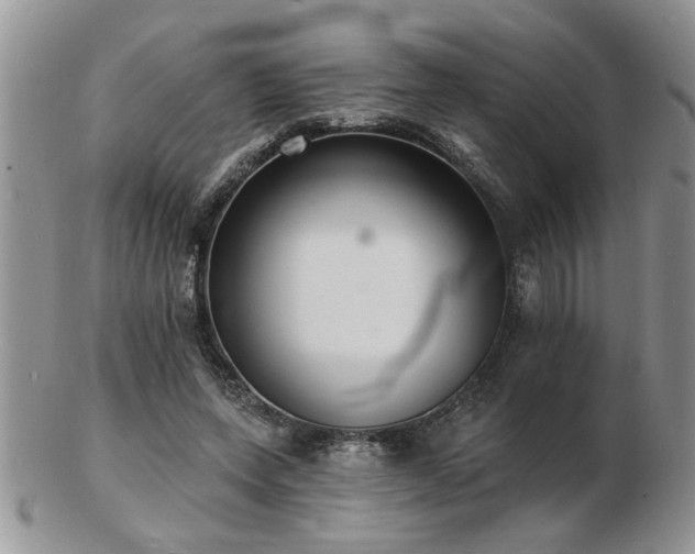 X0000103240543200808281443