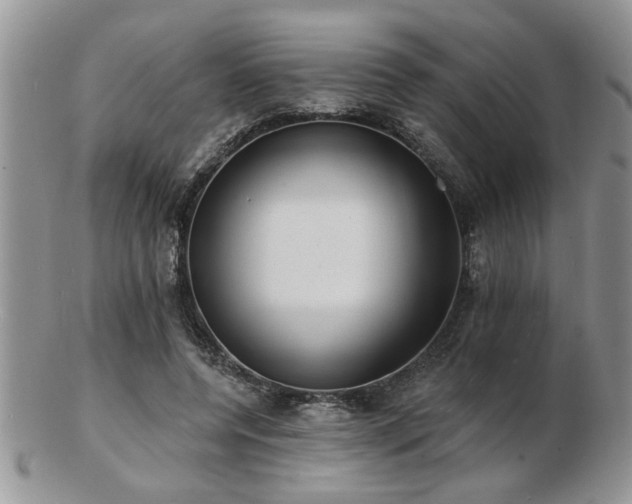 X0000103240544200808281443