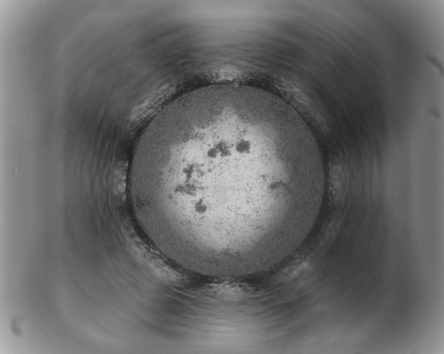 X0000103240545200808281443