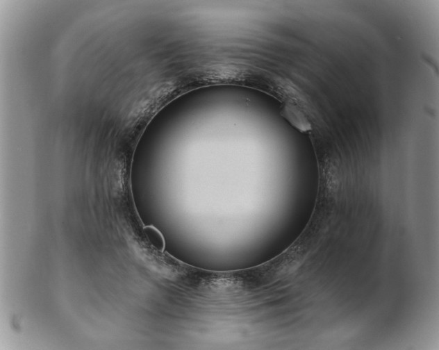 X0000103240546200808281443