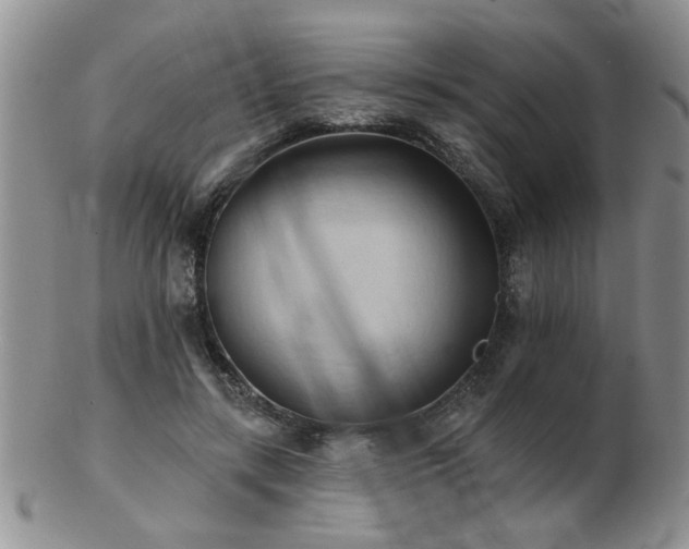 X0000103240547200808281443