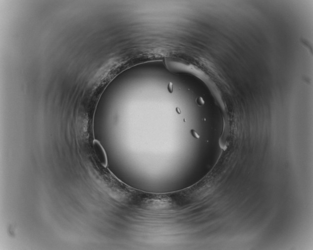 X0000103240548200808281443