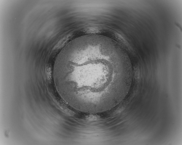 X0000103240549200808281443