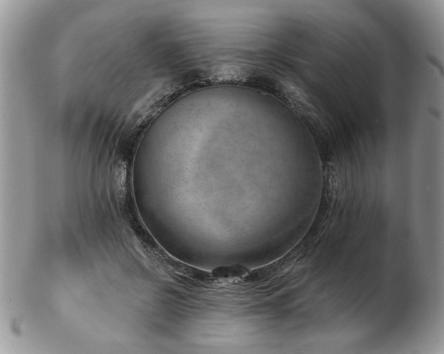 X0000103240550200808281443