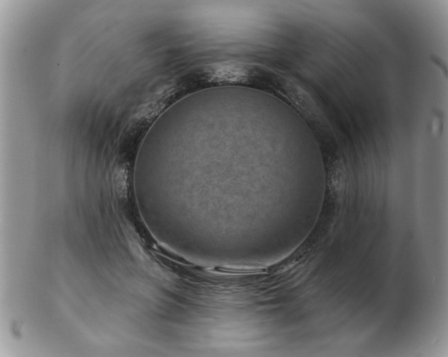 X0000103240551200808281443