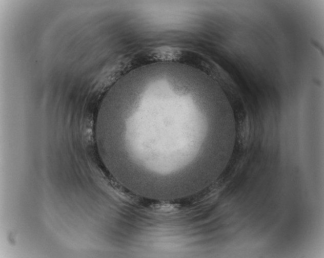 X0000103240553200808281443