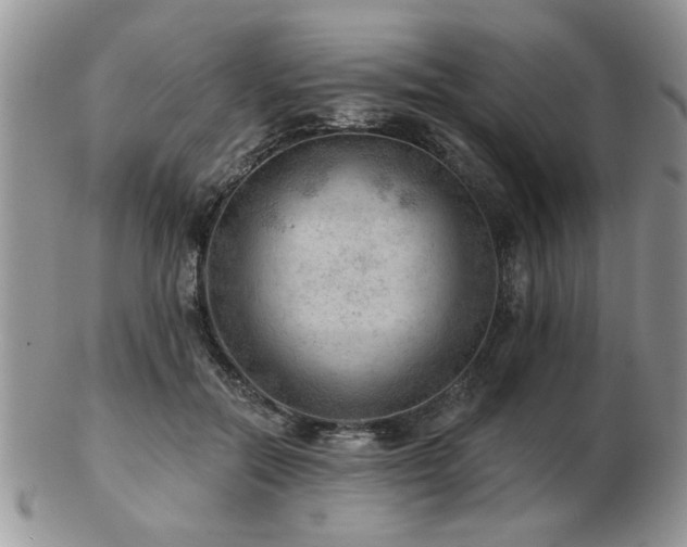 X0000103240554200808281443