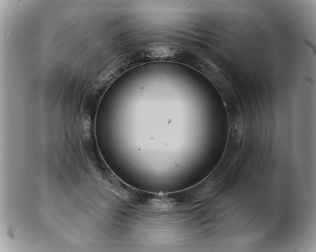 X0000103240556200808281443