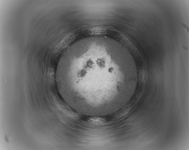 X0000103240557200808281443