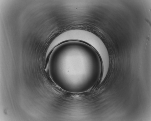 X0000103240558200808281443