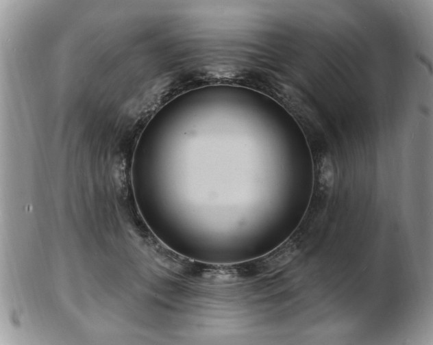 X0000103240559200808281443