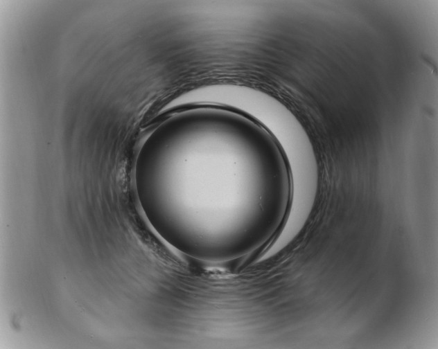 X0000103240560200808281443