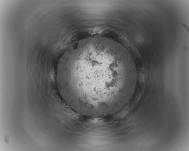 X0000103240561200808281443