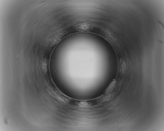 X0000103240562200808281443