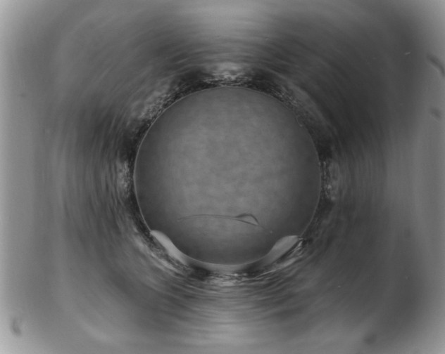 X0000103240563200808281443