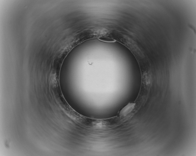 X0000103240564200808281443