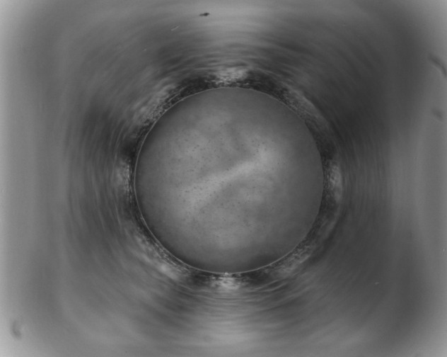 X0000103240565200808281443