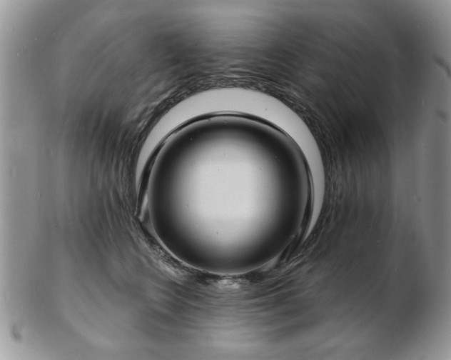 X0000103240566200808281443